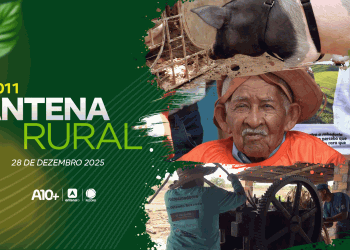 Vaqueiro mais idoso do Brasil, produção de cana-de-açúcar e porco de estimação: assista ao Antena Rural deste domingo (28)