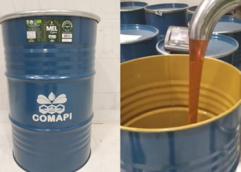 Cooperativa piauiense exporta, pela primeira vez, mel da agricultura familiar para o Japão