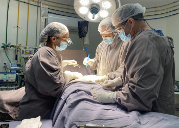 Captações simultâneas de órgãos no Piauí beneficiam 10 pacientes na fila de transplantes em cinco estados