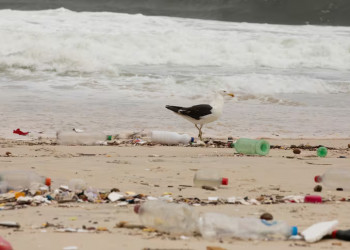 Brasil é o oitavo país que mais polui mares com plástico no mundo, diz relatório