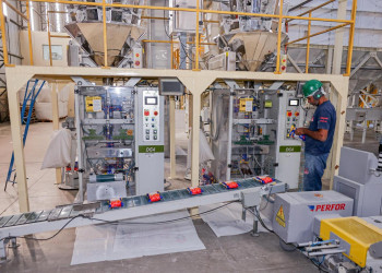 Piauí tem mais de 300 mil empresas ativas, com predominância do comércio e serviços