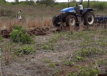 Baixa Grande do Ribeiro e Uruçuí são destaque nacional em produção de soja e milho