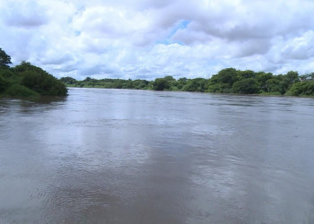 Nível do Rio Parnaíba atinge cota de atenção em Luzilândia, na região Norte do Piauí
