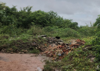 Corpo em estado de decomposição é encontrado em matagal na zona Leste de Teresina