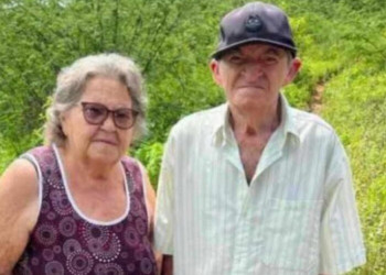 Casal morre após ataque de abelhas em Jacobina do Piauí