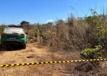 Corpo é encontrado em avançado estado de decomposição em matagal na zona Sul de Teresina