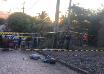 Integrante do Bonde dos 40 é preso por assassinato de catadora em Teresina