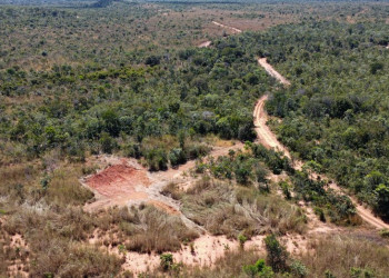 Piauí reduz em 12,4% o desmatamento e reforça proteção da Mata Atlântica