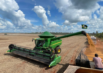 Três municípios concentram quase metade da produção agrícola do Piauí; 85 somam apenas 1%, diz IBGE