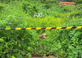 Corpo de homem é encontrado com marcas de tiros na zona Leste de Teresina