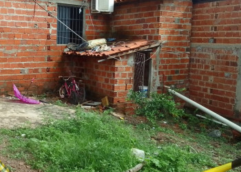 Criança atacada por pitbull morre em hospital de Teresina