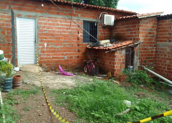 Criança é atacada por pitbull na zona Leste de Teresina; animal é sacrificado