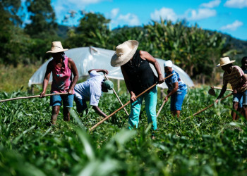 Justiça reconhece mais de 200 mil hectares como terras públicas do Estado do Piauí