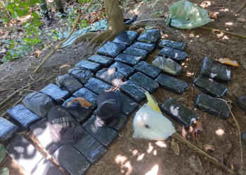 Polícia encontra depósito de drogas na zona Norte de Teresina; material foi avaliado em R$ 2 milhões