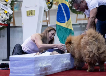 Em velório, caixão de Nahim fica no chão para seus cachorros se despedirem