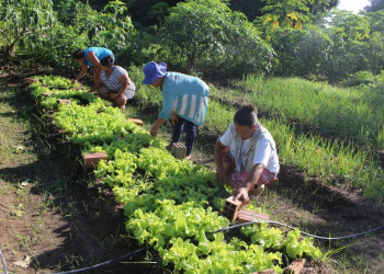 Governo do Piauí vai solicitar empréstimo de R$ 150 mi junto ao BNDES para a agricultura familiar