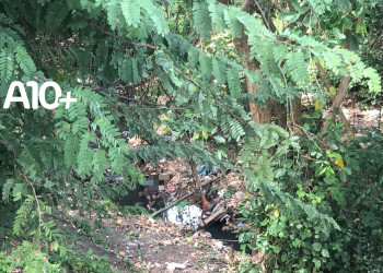 DHPP prende casal faccionado por assassinato de homem torturado e jogado em grotão em Teresina