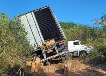 Caminhoneiro dorme ao volante, perde controle de veículo e morre após sair de pista no Piauí