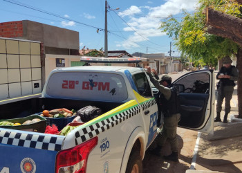 Mulher esconde drogas em frutas e arroz, fica nervosa e pede para ser algemada após flagrante no PI