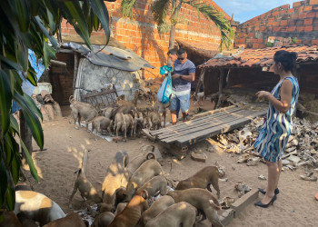 Polícia encontra mais de 50 cães abandonados em residência após tutor sofrer acidente no Piauí