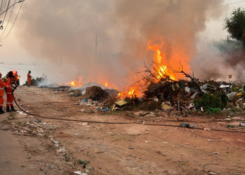 Homem queima vegetação e provoca incêndio na zona Sul de Teresina; outro foco de chamas é registrado na zona Norte