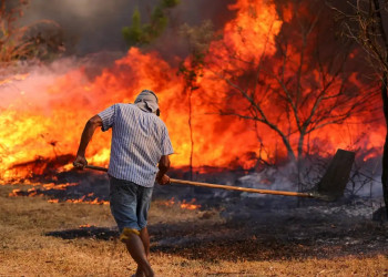 Semarh proíbe temporariamente uso do fogo em 12 municípios com área crítica no Piauí