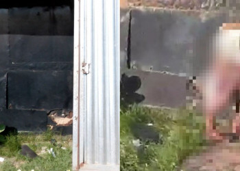 Corpo de homem é encontrado em trailer no centro de Timon, no Maranhão