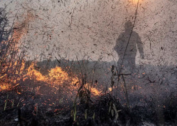 Brasil registra em 2024 aumento de 79% de áreas queimadas