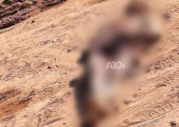Homem com passagens pela polícia por furtos é executado a tiros no interior do Piauí