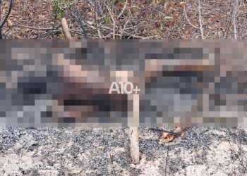Corpo queimado é encontrado despido e com corte profundo na garganta em estrada vicinal no Piauí