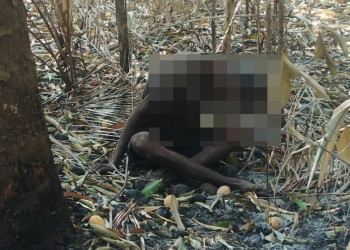 Corpo é encontrado em área de mata na BR-316, em Timon; polícia suspeita que vítima seja morador em situação de rua