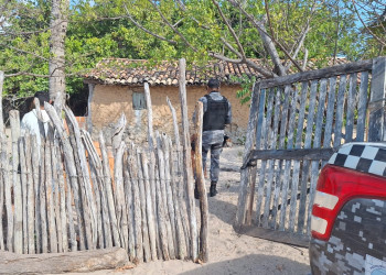 Crimes no litoral do Piauí podem estar ligados e relacionados com o tráfico de drogas, diz Polícia Civil