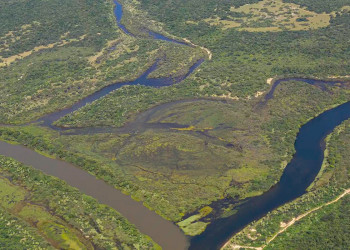 Maior parte da Mata Atlântica tem menos de 30% de vegetação nativa