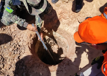 Corpo de Bombeiros e Polícia Ambiental resgatam capivara que caiu em buraco de instalação de poste, em Parnaíba