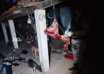 Polícia desfaz ponto clandestino de venda e abate ilegal de animais em Parnaíba; três pessoas são presas