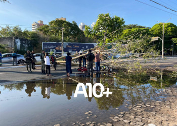 Árvore cai e atinge motociclista por aplicativo e passageira na zona Leste de Teresina