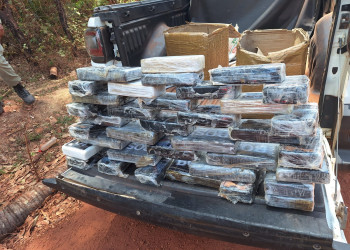 Polícia Militar apreende mais de 30 tabletes de drogas durante ação policial no Norte do Piauí