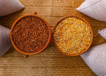 Dia da Agroecologia: ações da SAF incentivam produção sustentável de alimentos na agricultura familiar