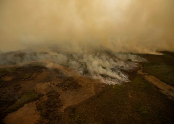 Brasil tem condições de ser o 1° país a zerar as emissões de gases, afirma climatologista
