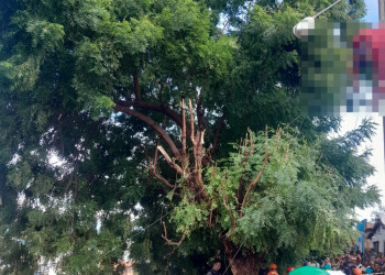 Homem morre eletrocutado ao podar árvores no interior do Piauí; vítima ficou presa nos fios elétricos