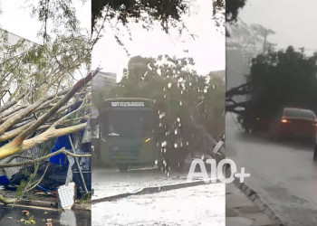 Ventos fortes derrubam árvores e provocam estragos em vários pontos de Teresina; VÍDEO!