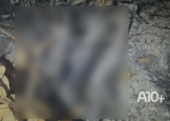 Corpo é encontrado em chamas em área de mata na zona Leste de Teresina; suspeito é preso