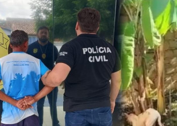 Morador é preso após espancar cachorro com pedaço de madeira no Piauí; suspeito alega que foi contratado para matar animal
