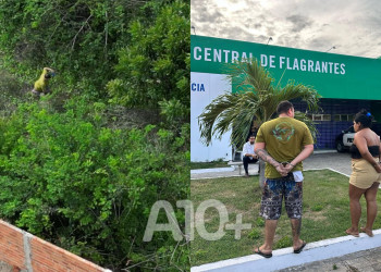 Suspeito de tráfico de drogas tenta fugir da polícia pulando muros, mas é preso no Piauí; companheira também foi detida