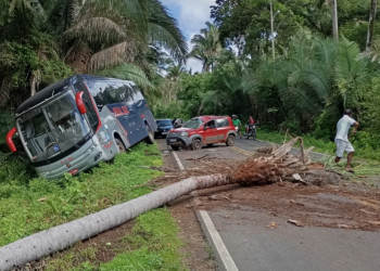 Árvore cai por cima de carro e provoca acidente com ônibus em rodovia no interior do Piauí