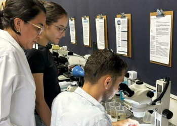 Universidades Estaduais do Piauí e do Ceará firmam parceria acadêmica na área da Zoologia