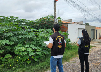 Prefeitura reforça fiscalização de terrenos baldios na zona Leste de Teresina e autua proprietários
