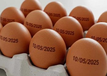 Agricultura suspende determinação de carimbar data de validade em ovos