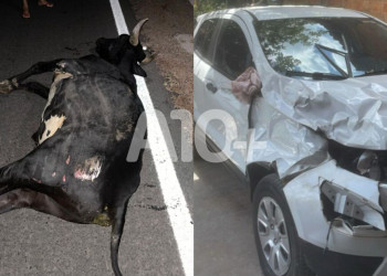 Polícia identifica dono de boi que estava solto na pista e causou acidente com prejuízo de R$ 15 mil no Piauí
