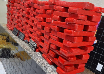 Polícia Militar apreende mais de 290 tabletes de maconha avaliados em R$ 3 milhões em Valença, Piauí